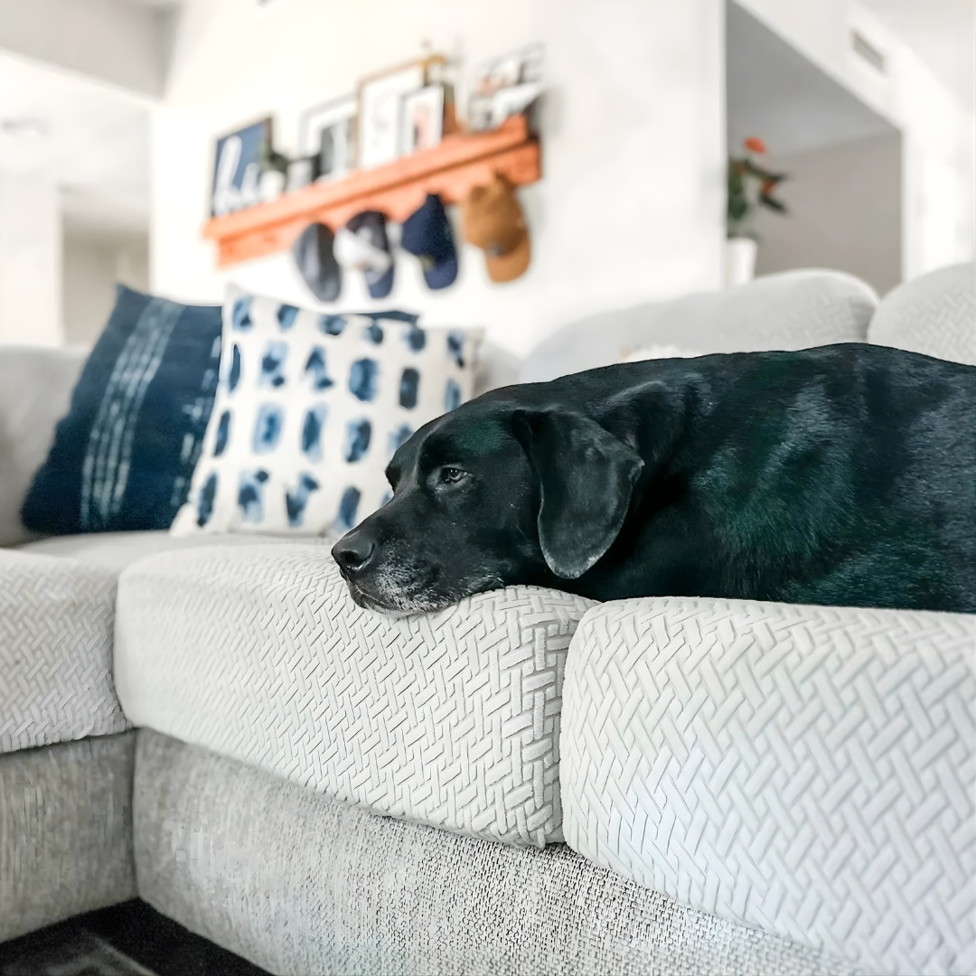 Funda Protectora Elástica de Alto Ajuste para Sofá®