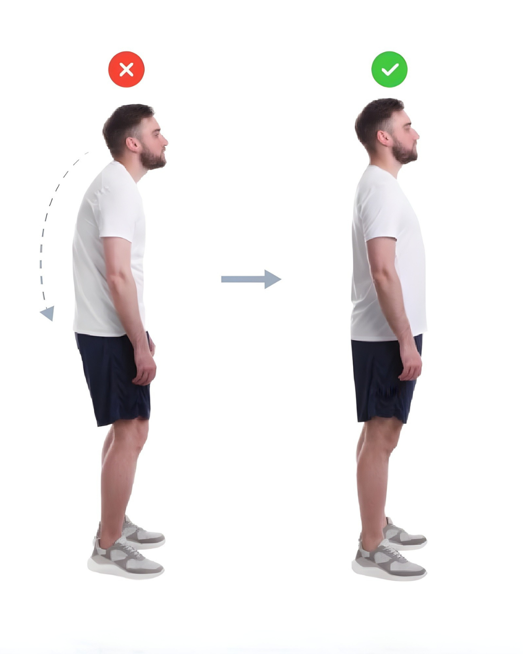 Soporte Ergonómico Premium para Corrección de Postura