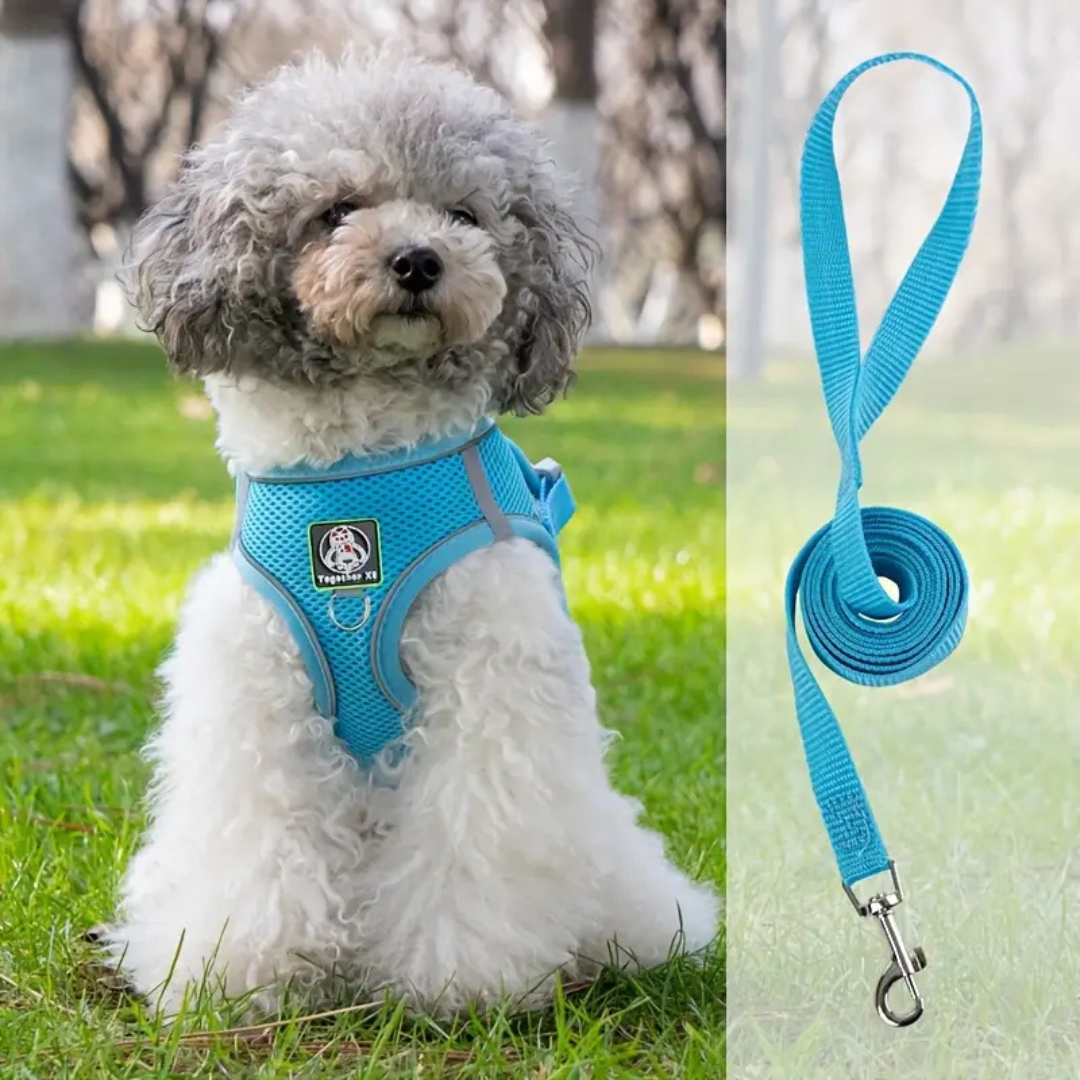 Chaleco suave de malla para perros y gatos