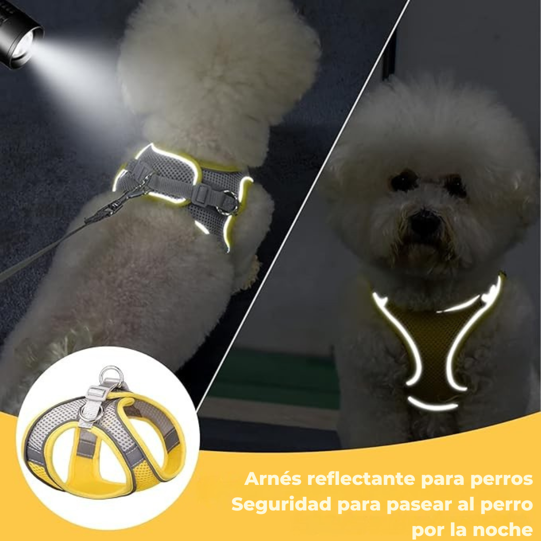 Chaleco suave de malla para perros y gatos
